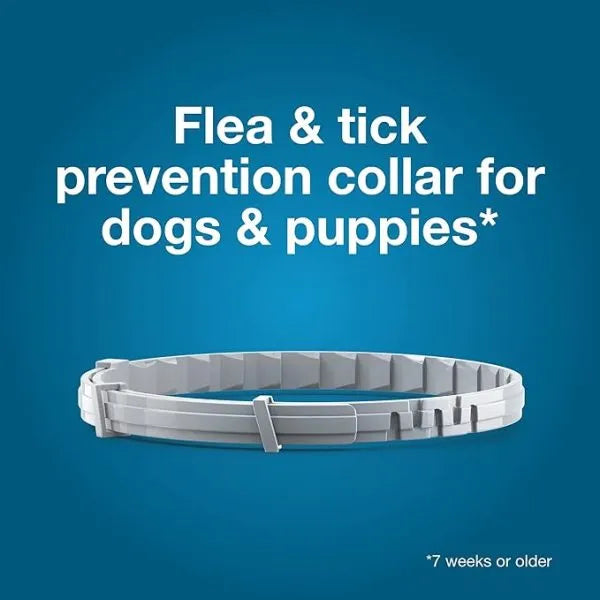 Seresto® Flea and Tick Collar for pet