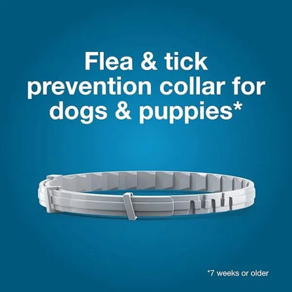 Seresto® Flea and Tick Collar for pet