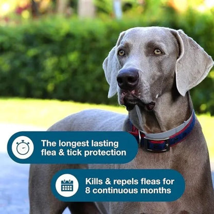 Seresto® Flea and Tick Collar for pet